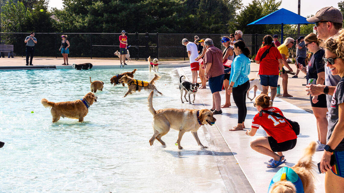Want to take your dog out for a swim? JoCo public pools will open for ...
