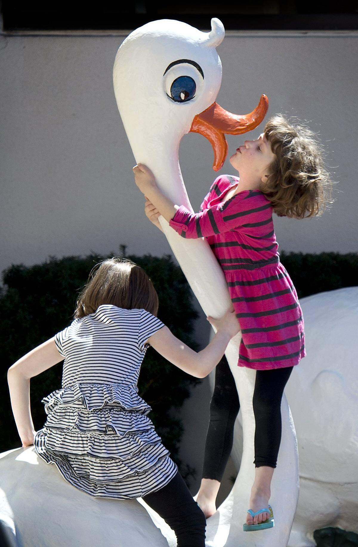 Swans on the Country Club Plaza caught the attention of Bella Myers (right), 5, and her sister, Elizabeth Myers, 7, as they enjoyed their first day of Spring break on Monday, March 30, 2015. The swans are a part of the Wonderland Animals, which have accompanied the Plaza Easter bunnies since the 1970s.