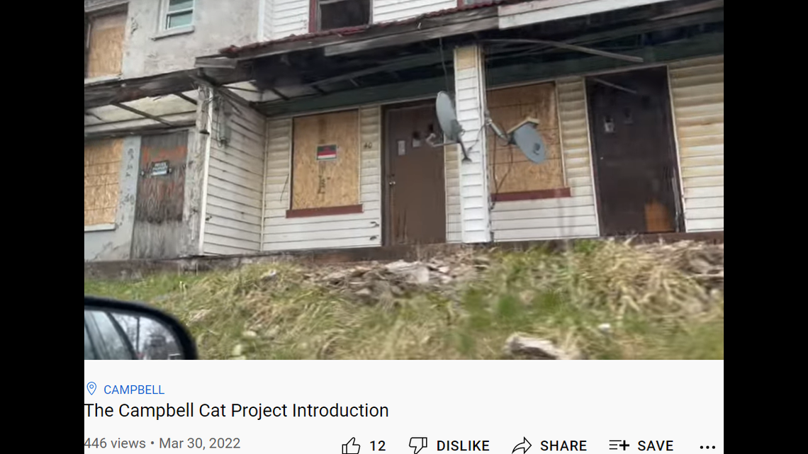 The condemned apartments are packed with stray cats, some of which are “friendly” and others “feral.”