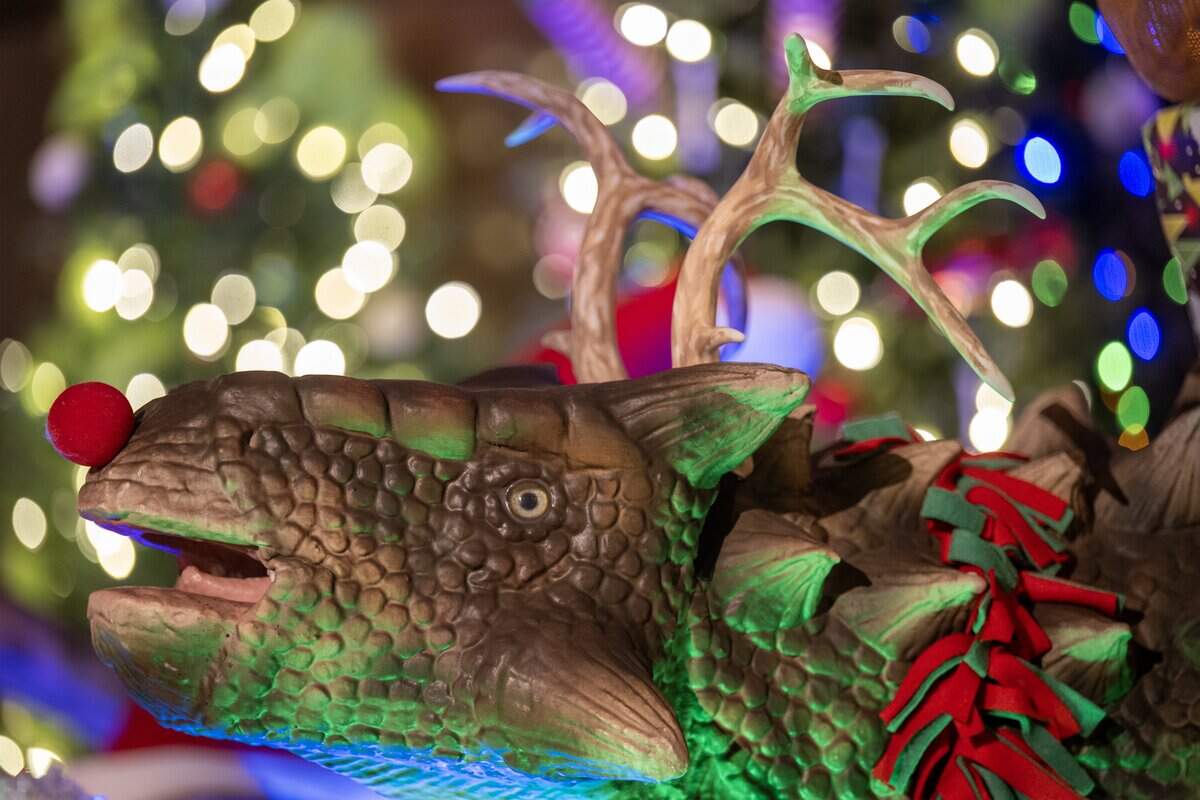 A decked-out dinosaurs is part of the “Holiday Reflections” display at Union Station on Thursday, November 20, 2025, in Kansas City.