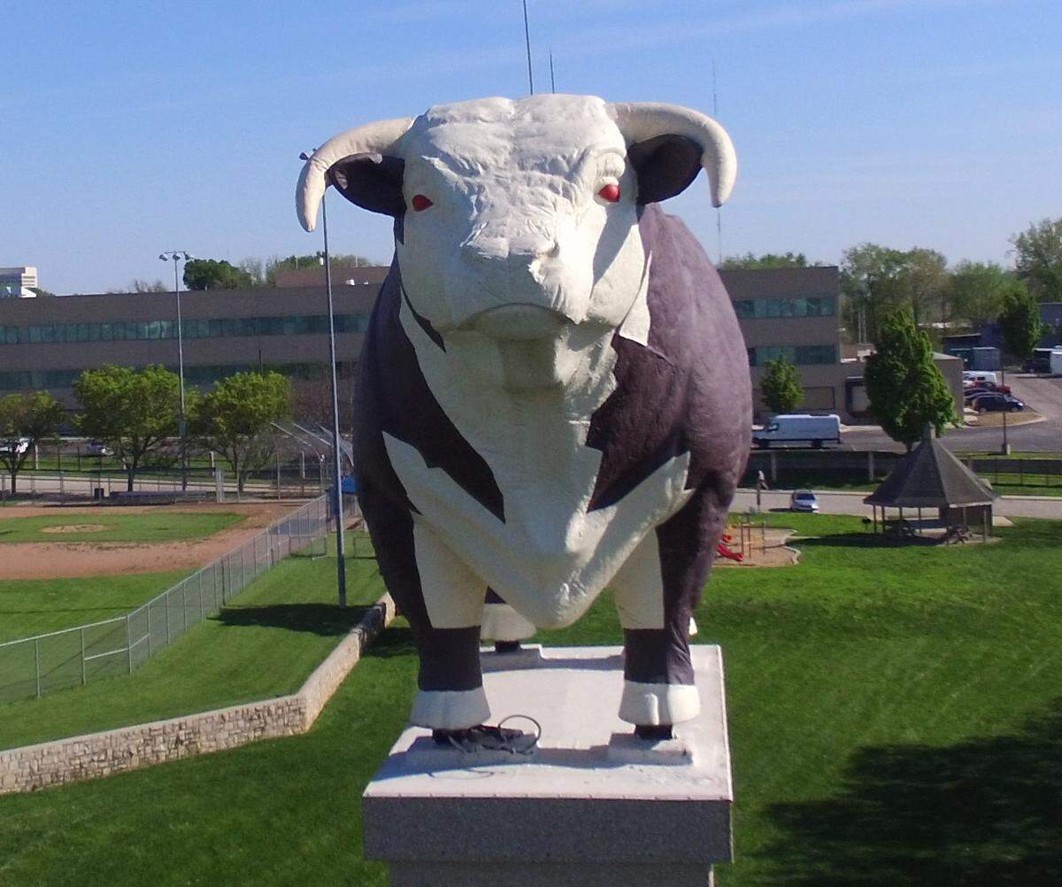 The Hereford Bull, nickname Bob, was dedicated in 1953.