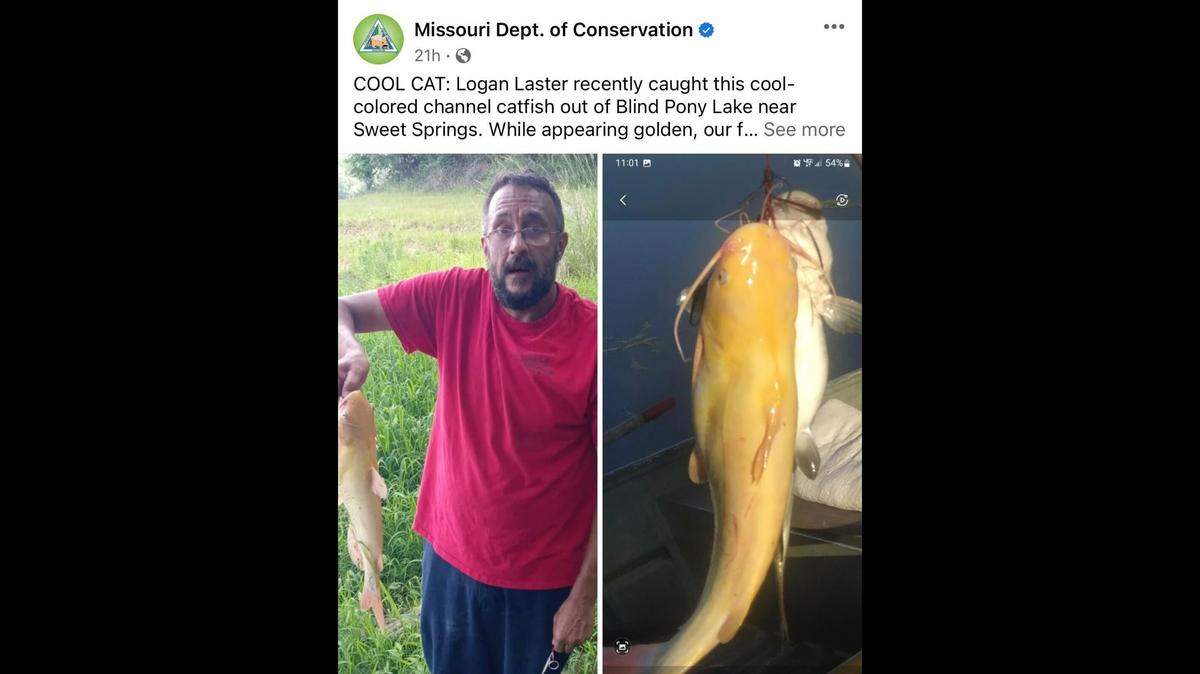Logan Laster and his “cool-colored channel catfish.”