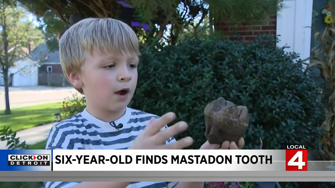 Julian Gagnon found a mastadon tooth, researchers say.