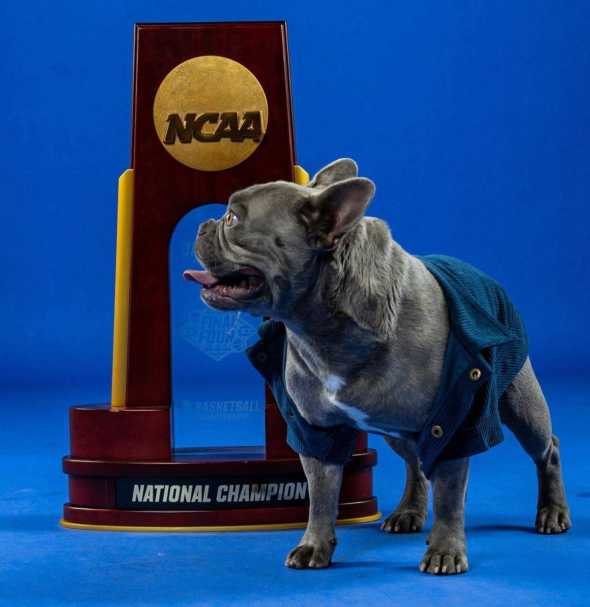 Halo, the Stokes’ family dog, got into the act during a photo shoot conducted as part of top basketball recruit Tyran Stokes’ recent visit to KU hoops.