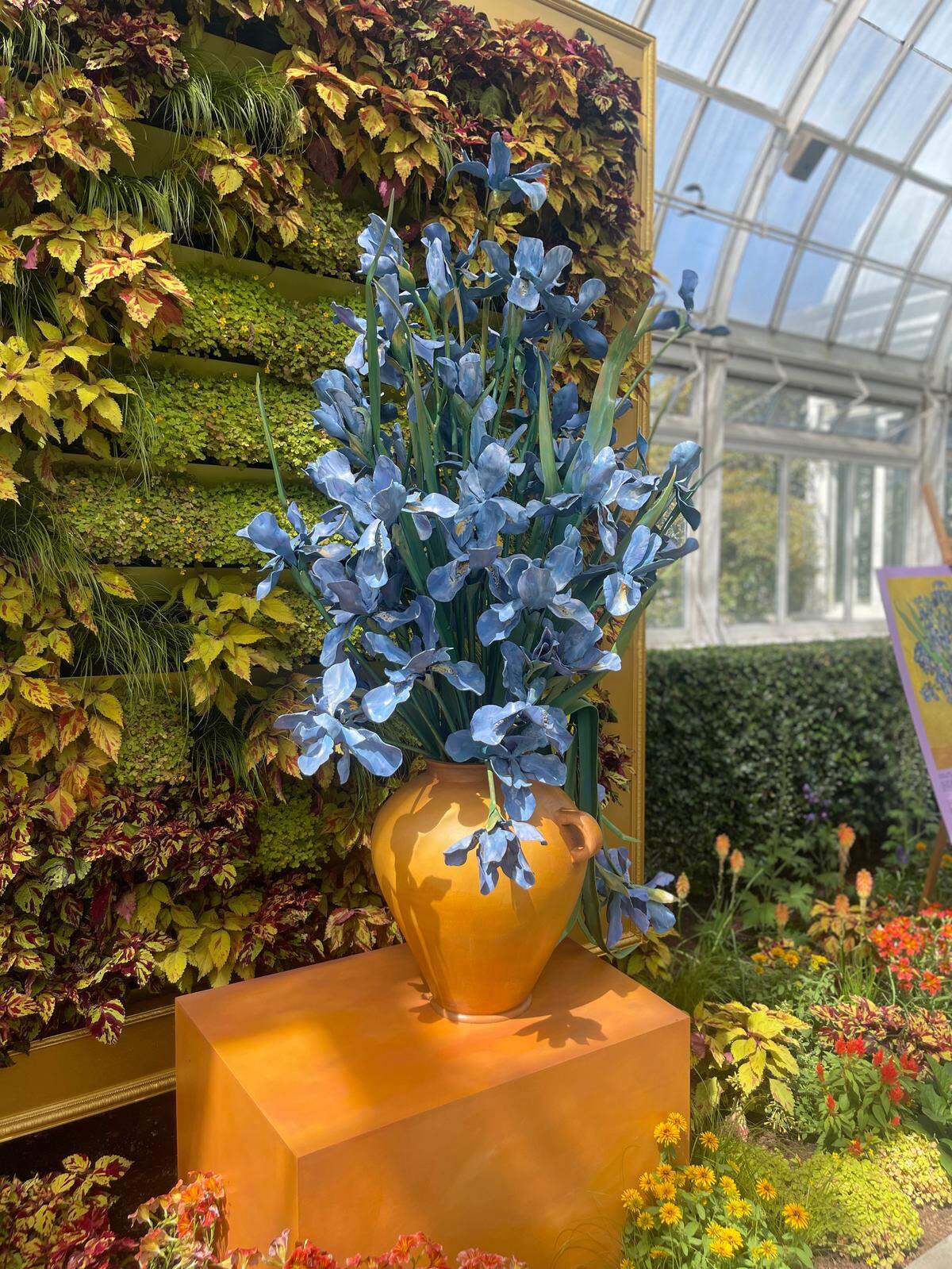 Irises by Amie Jacobsen on display in the New York Botanical Garden