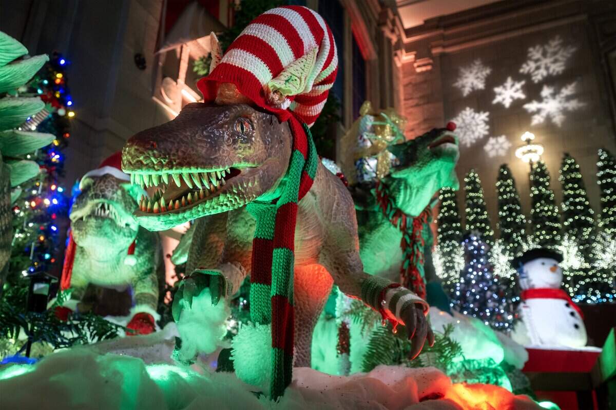 Decked-out dinosaurs are part of the “Holiday Reflections” display at Union Station on Thursday, November 20, 2025, in Kansas City.
