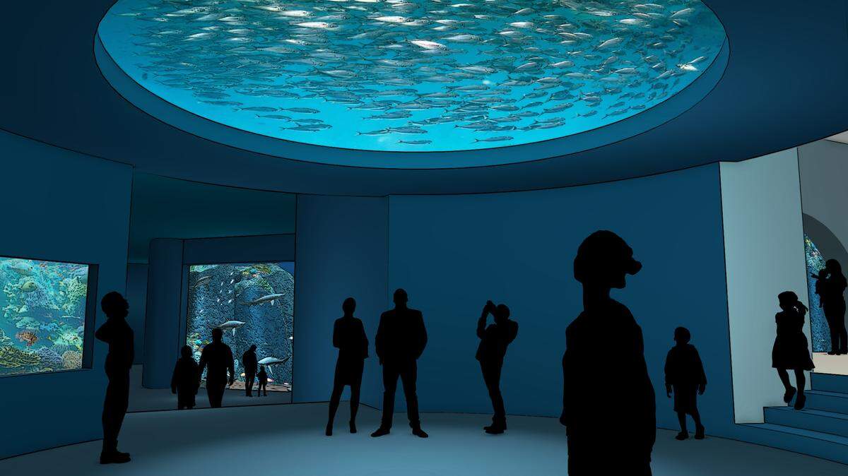 A rendering shows the pacific reef that will be installed as part of the aquarium at the Kansas City Zoo.