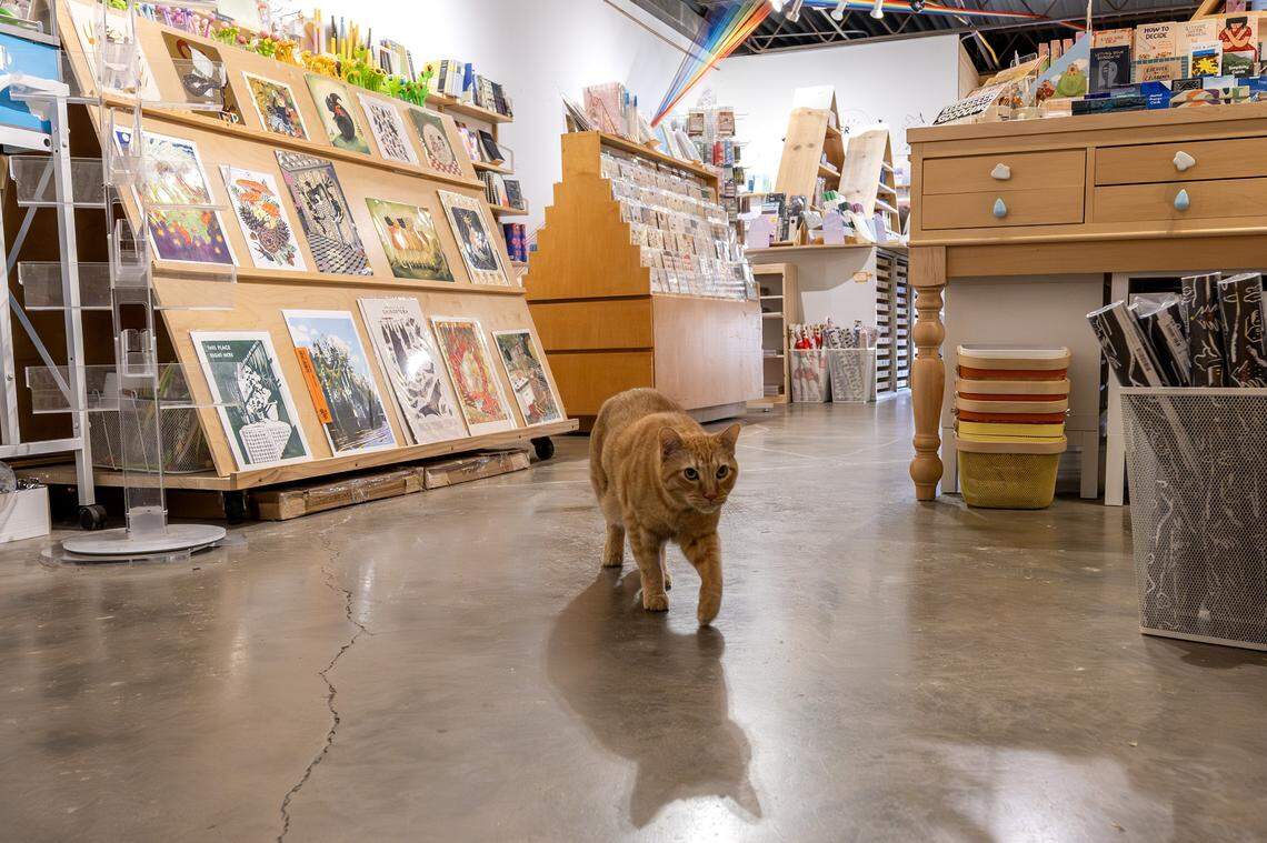 Dave, a shop cat, walks down an aisle of posters at Wonder Fair on Wednesday, Nov. 5, 2025, in Lawrence.