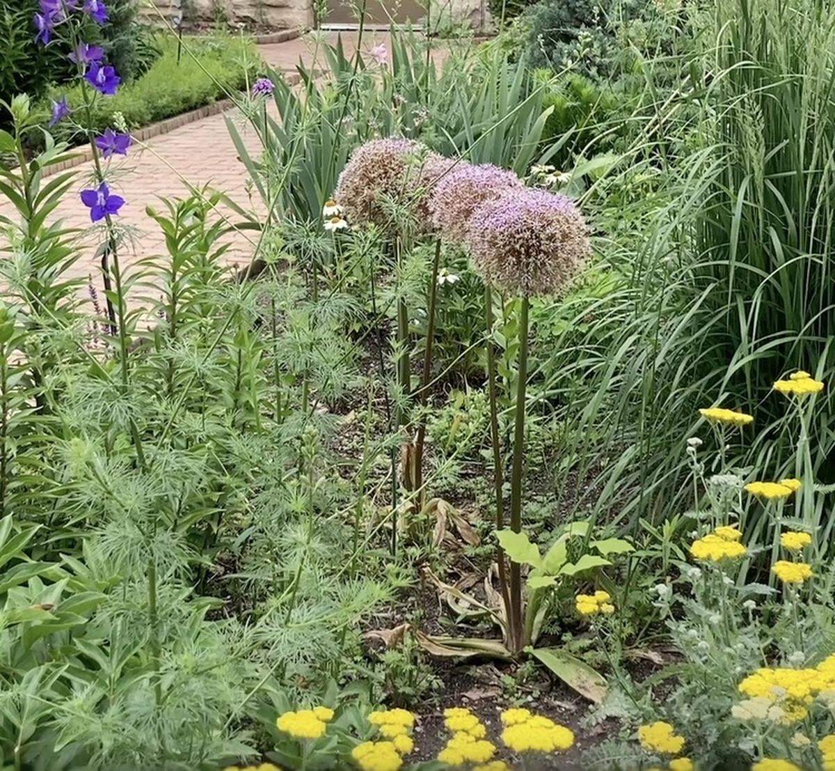 Spring blooms at the Ewing and Muriel Kauffman Memorial Garden on May 21, 2026. The garden opened 26 years ago on Memorial Day weekend.