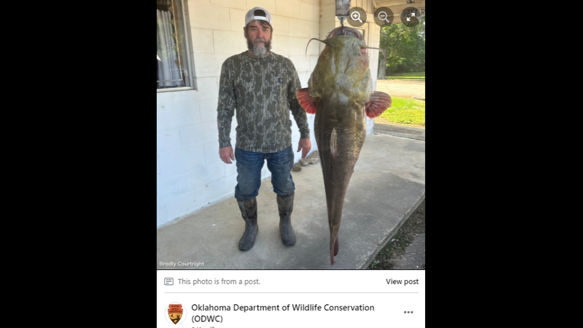 Courtright poses beside his 95-pound catch.