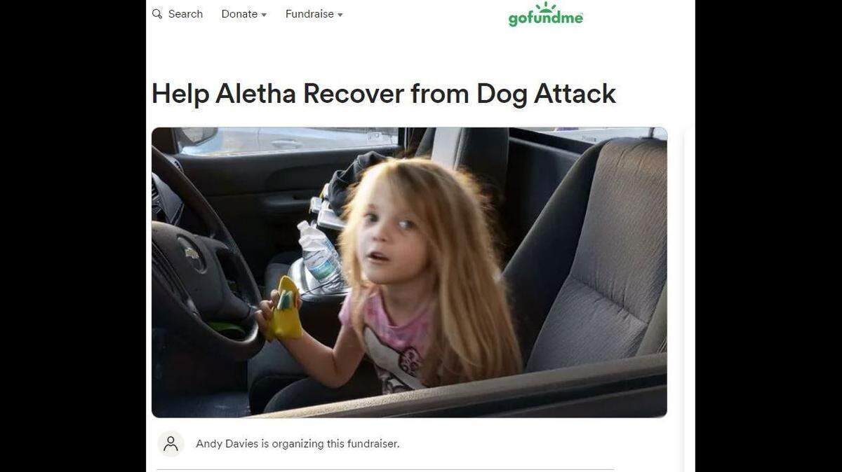 A GoFundMe fundraising page has been set up to raise money for the family of 5-year-old Aletha who was mauled by a dog in her backyard in Independence. Proceeds will be used to pay medical and family expenses.