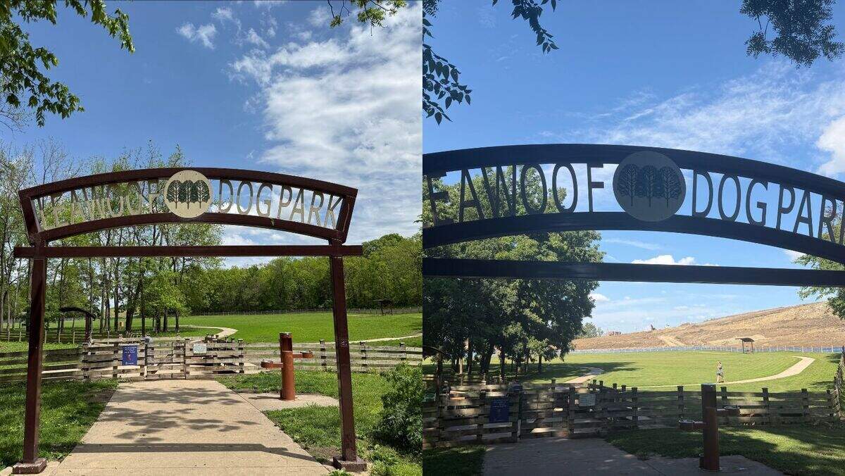A side-by-side photo of Leawoof Dog Park. The photo on the left was taken on April 27, 2026, and the photo on the right was taken on July 2, 2026.