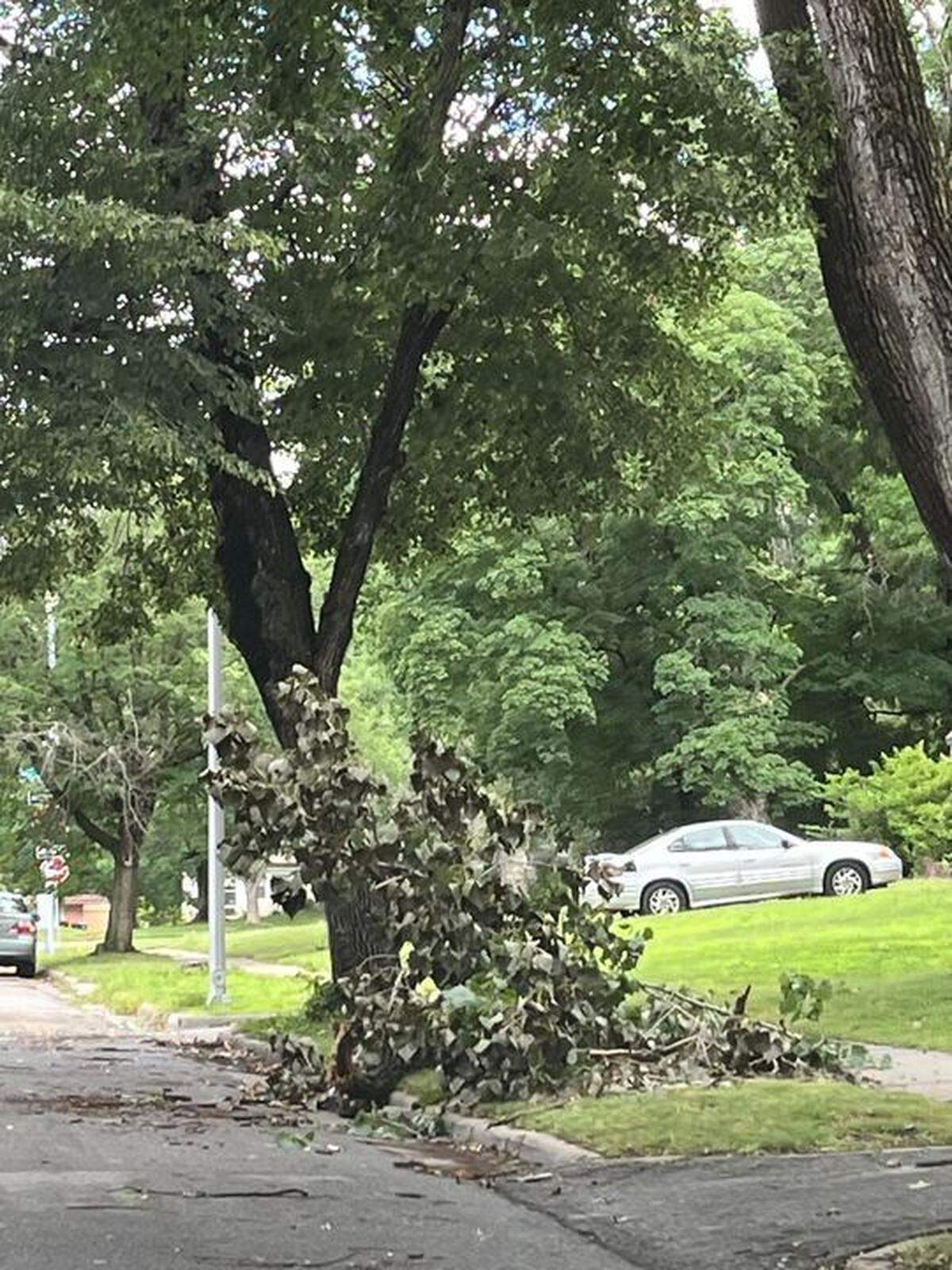 Thunderstorms early Wednesday caused damage across the Kansas City metro, including a downed tree at West 76th Street and Ward Parkway.