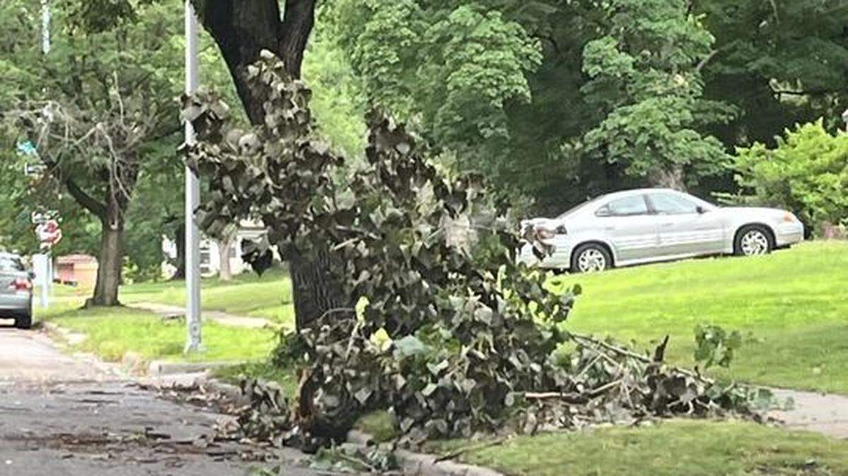 Thunderstorms early Wednesday caused damage across the Kansas City metro, including a downed tree at West 76th Street and Ward Parkway.