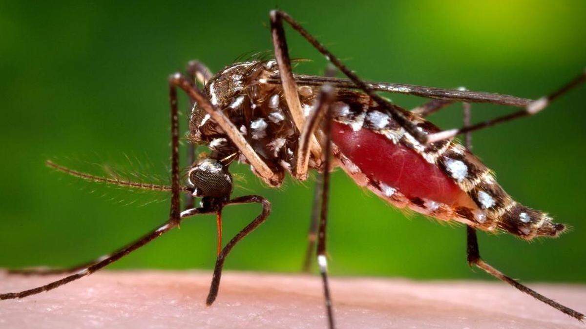 The Johnson County health department said only that the person with Zika “has a history of travel to an area where mosquitoes are spreading Zika virus.”