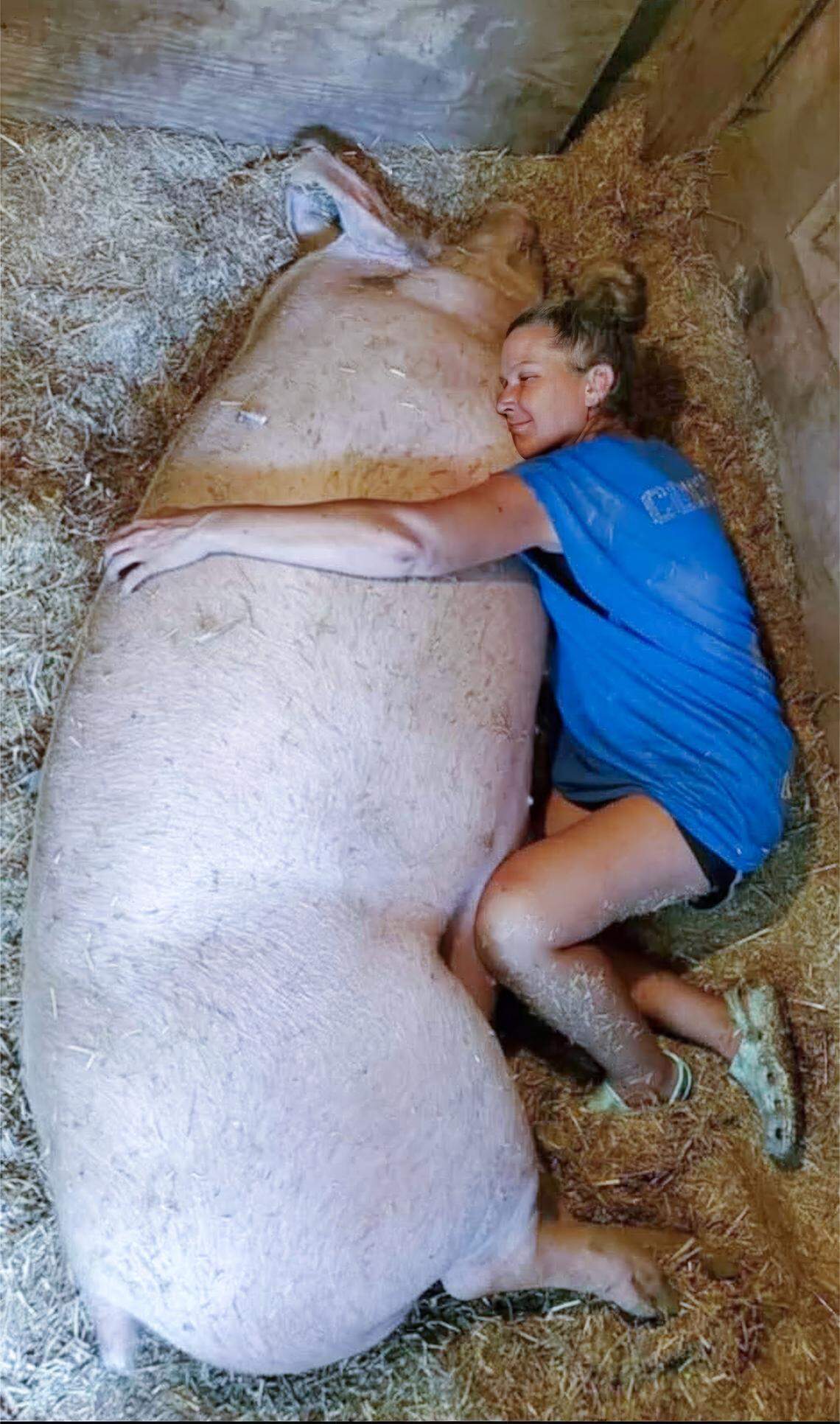 Angela Jones-Willey, Kansas City Pig Rescue Network’s secretary and treasurer, with her beloved pig, Thad, who she adopted in 2019. Thad was only a few weeks old when he was rescued in 2019 after falling off of a truck. He grew into a 1,200 pound gentle giant who died of cancer in November. Jones-Willey has a tattoo to memorialize Thad on her forearm.