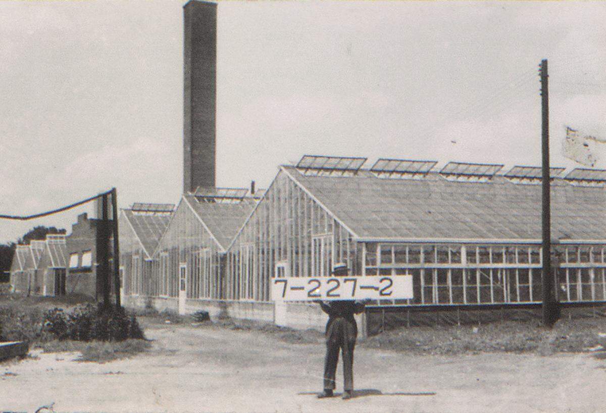 The Grover F. Renick Greenhouse near East 37th Street and Raytown Road. The Renicks were a prominent family and original landowners in the Leeds area. Grover’s father, William R. Renick, operated a general store for more than 50 years and was the town’s postmaster for 35 years.