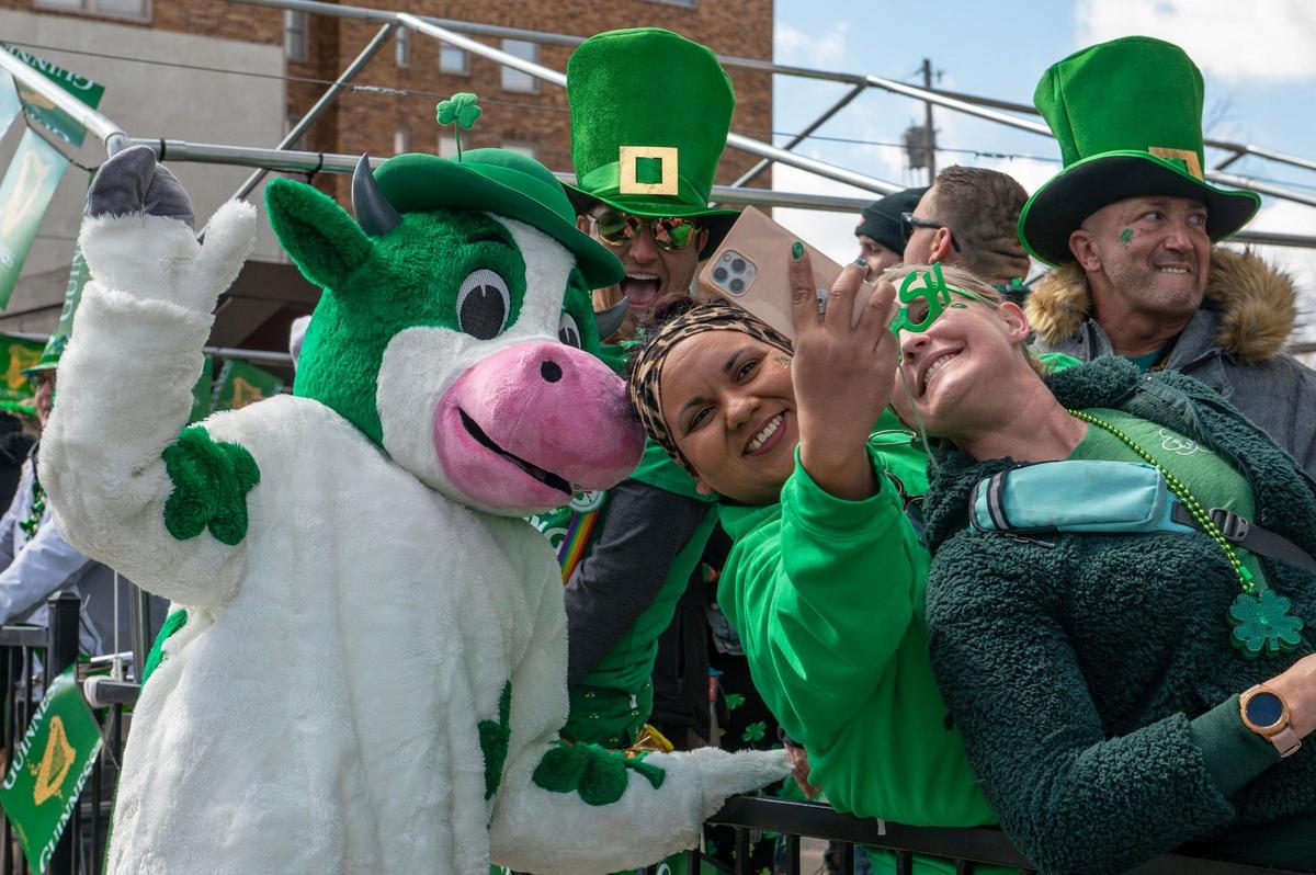 Bó the cow stops to take photos with parade attendees during the Kansas City St. Patrick’s Day parade on Friday, March 17, 2023, in Kansas City.