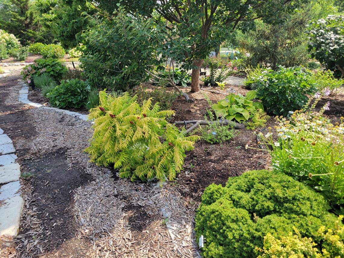 Flooding damage and a Tiger Sumac down on the Garden Gallery Demonstration Garden trail.