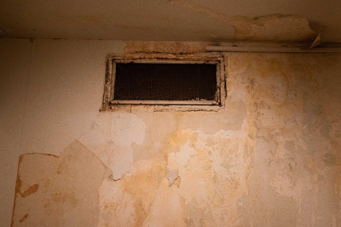 Paint peels off a wall at an apartment in Quality Hill Towers in Kansas City, Missouri on Thursday, September 5, 2024. Tenants have dealt with pest infestations, peeling walls and ceilings, and extremely poor maintenance.