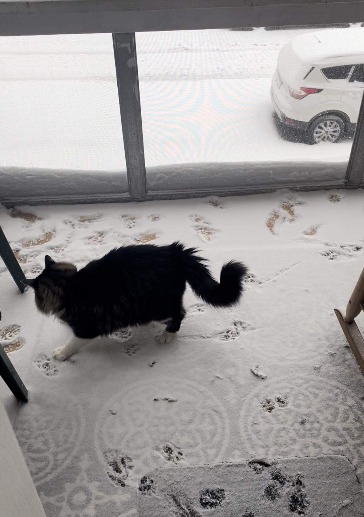 “Originally from Texas, Max thoroughly enjoys snow days and getting to play outside!” -Emily Bamnwarth in the South Plaza