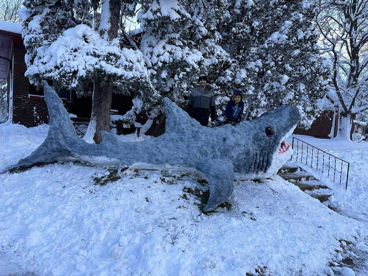 The shark is 20 feet long, the artist said.