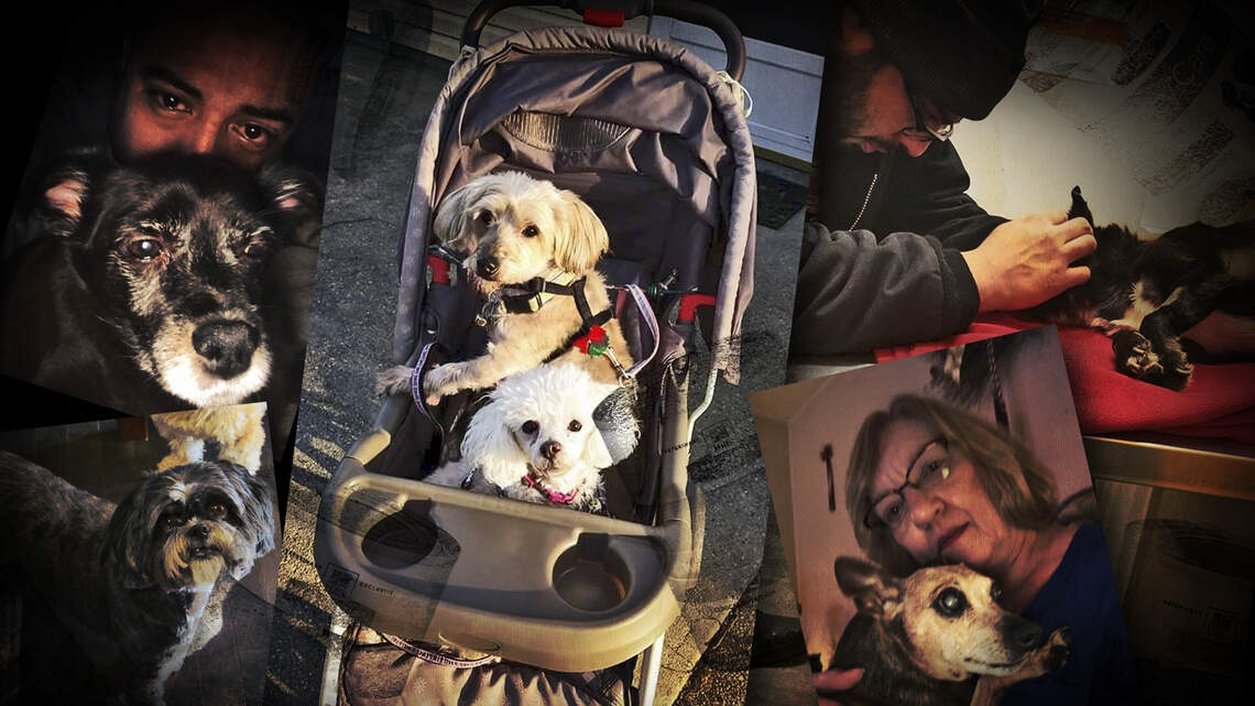 ‘What will you do for all of the beloved pets we’ve lost?’ dog owners ask Topeka firm