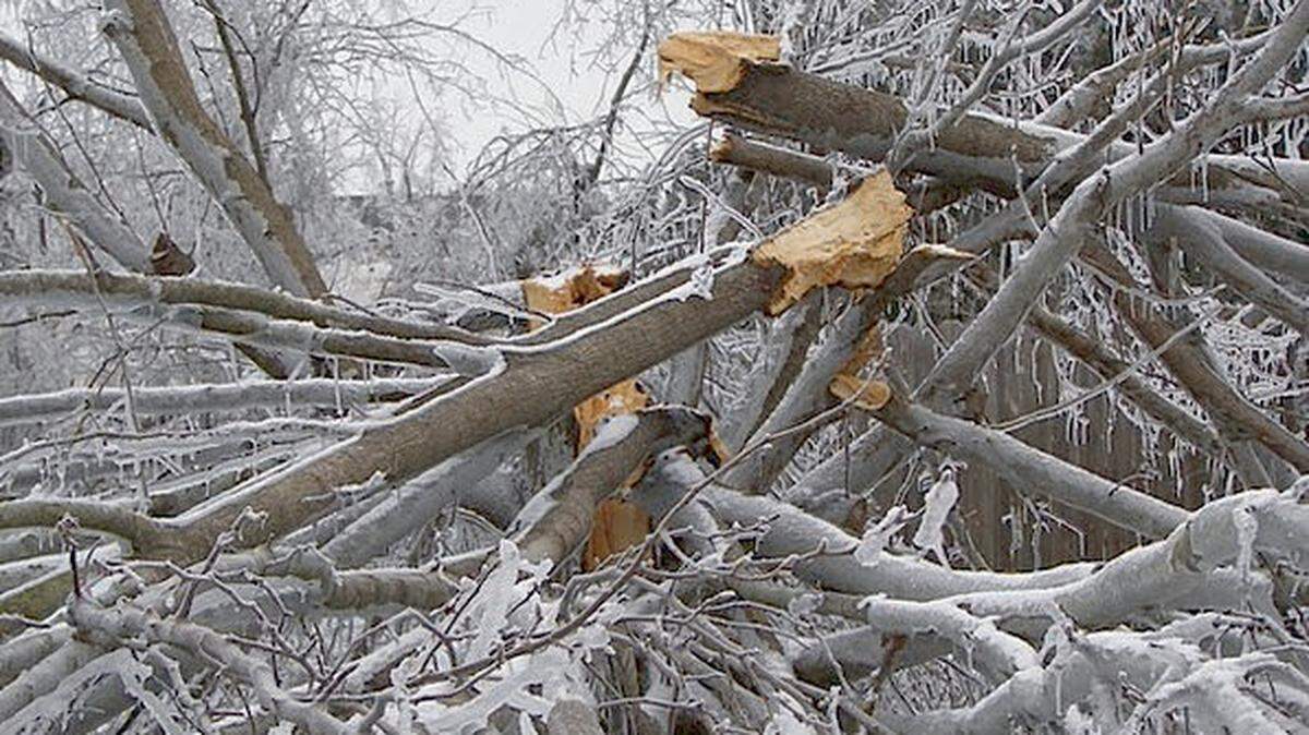If they want the city to pick up the limbs for free, Olathe residents should place them at the curb by Jan. 28.