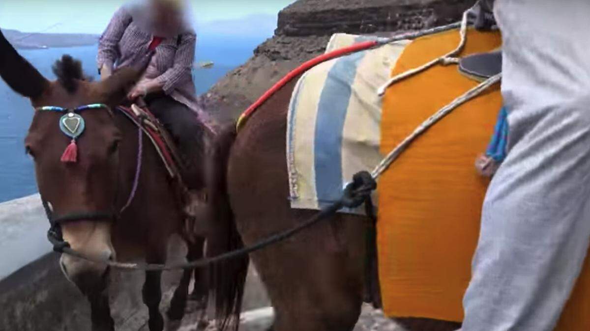 Animal activists say overweight tourists - mostly from the United States, Russia and the United Kingdom - are causing injury to the donkeys that carry them up and down the hills on the Greek isle of Santorini.