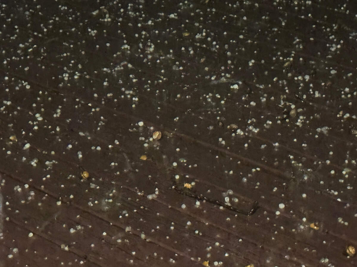 Pea-sized hail fell in the Weatherby Lake area Wednesday night.