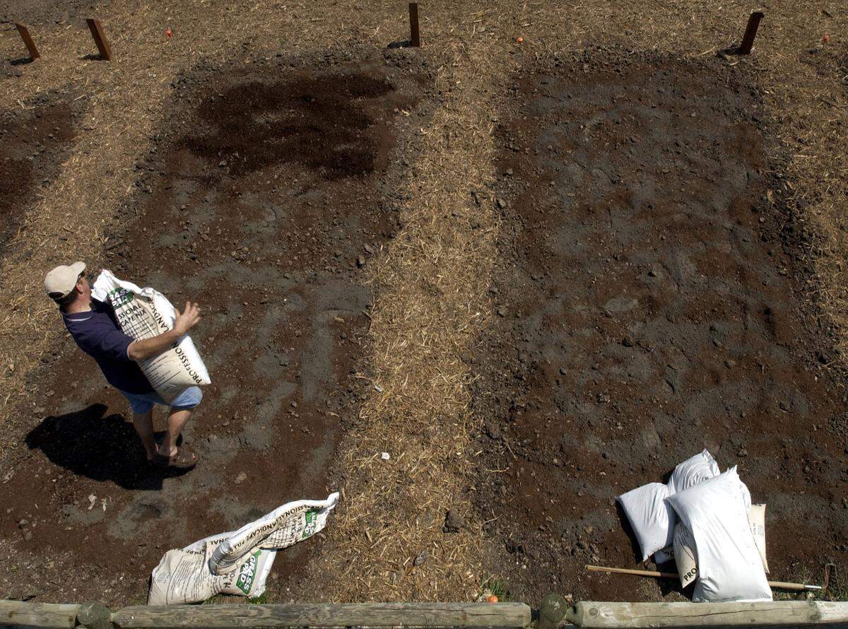 The natural soil makeup in the Kansas City area often requires that gardeners prep their plots with compost and other supplements to attain healthy gardens.