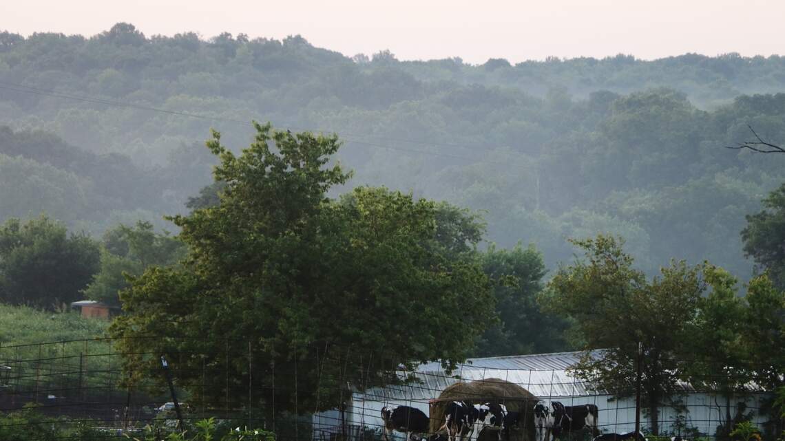 ‘This was the job I was made for.’ Cass farmers work through modern challenges