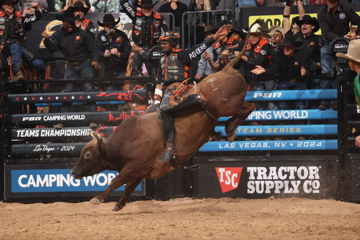 Cassio Dias rides Do Dat Eddie for a score of 85 during the second round of the 2024 PBR Teams Championship in Las Vegas.