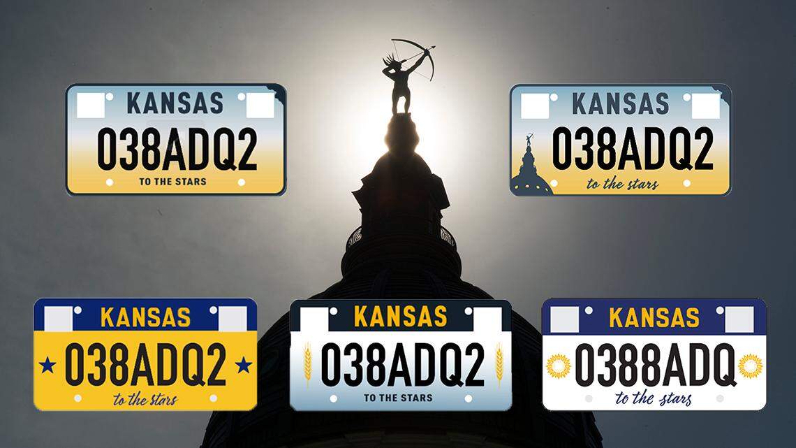 Only a government bureaucrat could have come up with this idea.