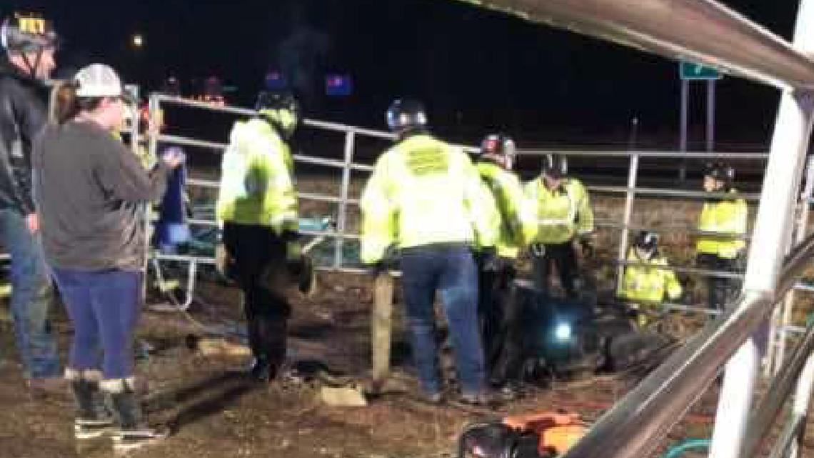 13 horses died in a tractor-trailer crash Sunday night in Missouri.