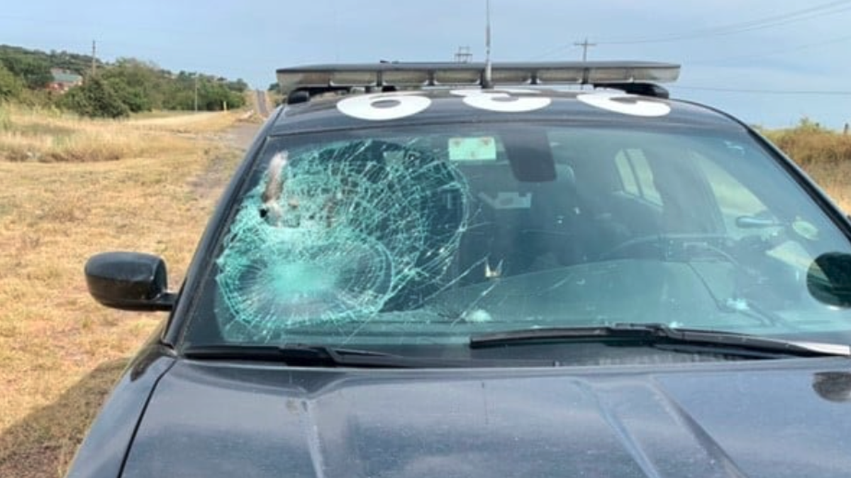 A vulture smashed into the windshield of an Oklahoma Highway Patrol’s cruiser.