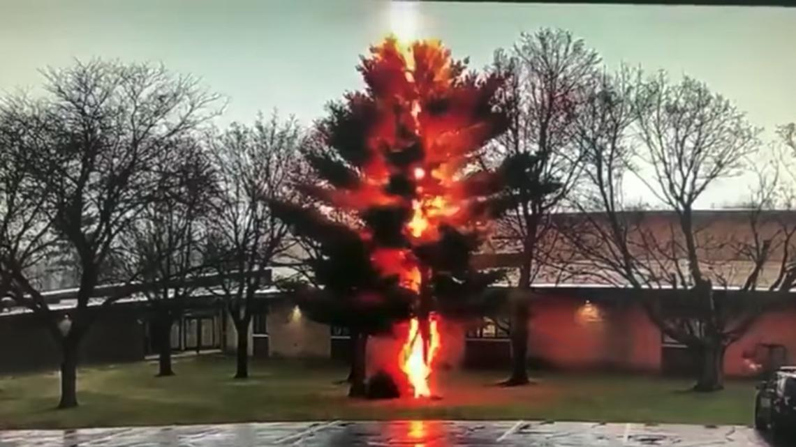 A tree was destroyed by a lightning strike outside a Wisconsin school Thursday.