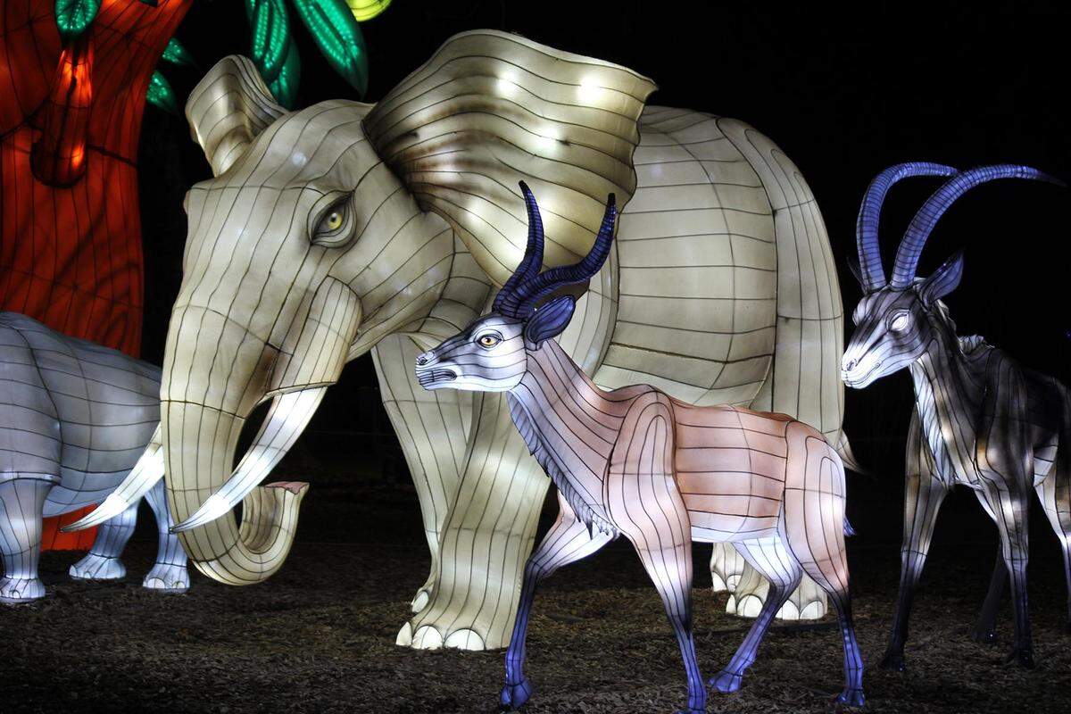 The GloWild exhibit features different animal lanterns.