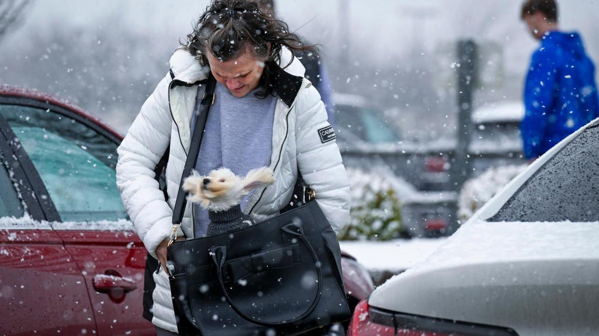 Snow fell as Sabrina Markese of Olathe headed into a grocery store with MIlo, her four-pound Maltipoo, who donned a turtleneck for the wintery weather, on Friday, Jan. 5, 2024, in in Lenexa, Kansas.