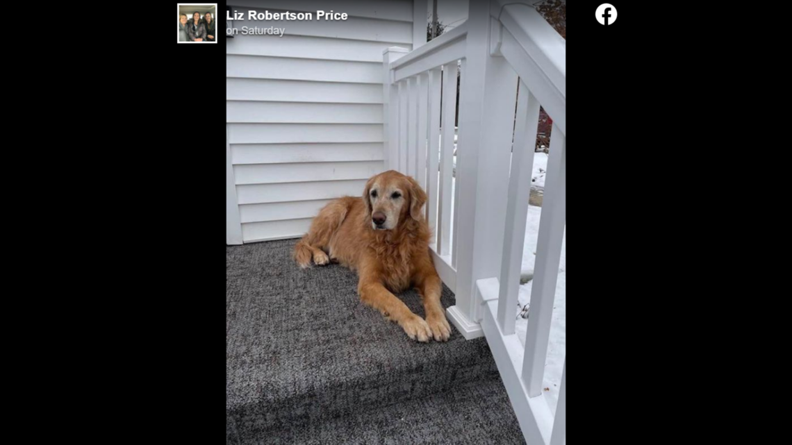 Macy was returned to her home after being stuck in the sinkhole.
