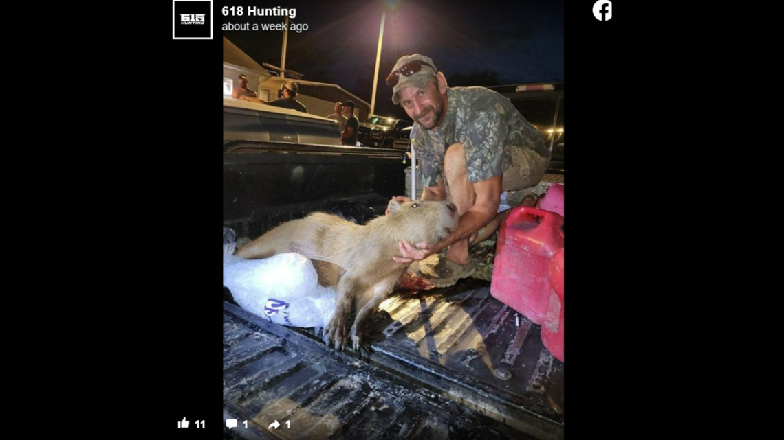 A fisherman in Illinois killed a massive rodent that is native to South America.