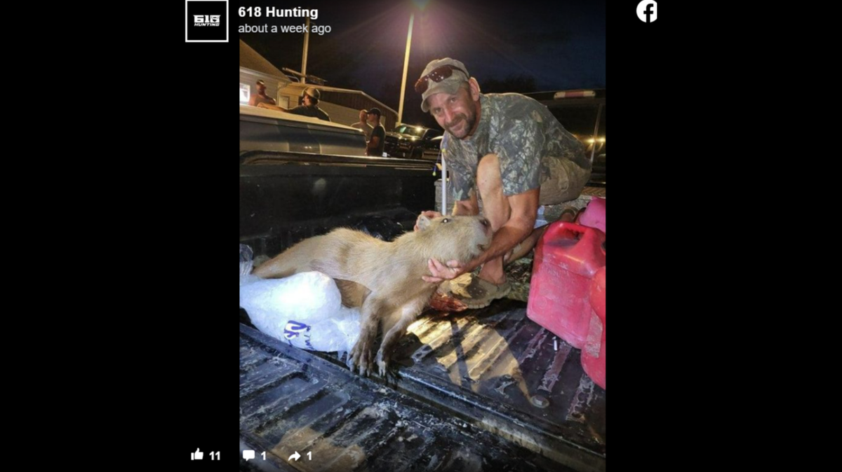 A fisherman in Illinois killed a massive rodent that is native to South America.