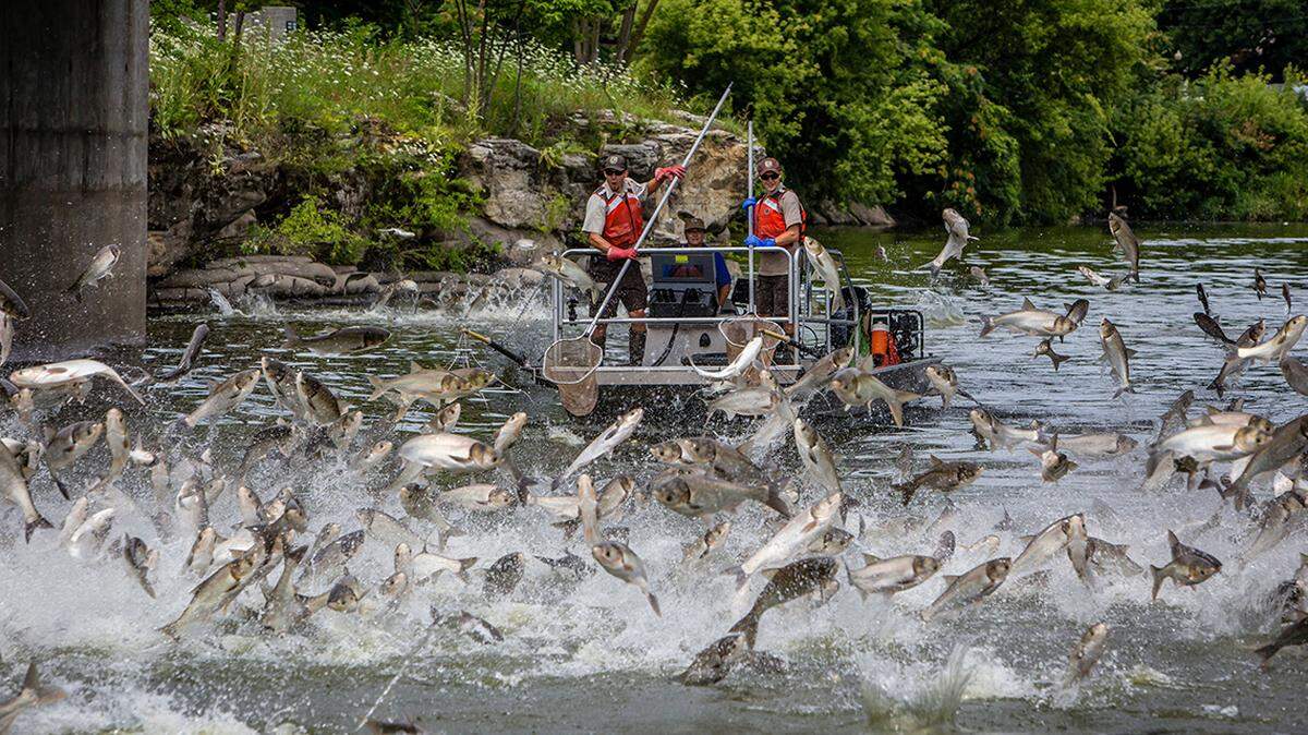 A plan by Nebraska’s Department of Natural Resources has the potential to push the problem downstream.