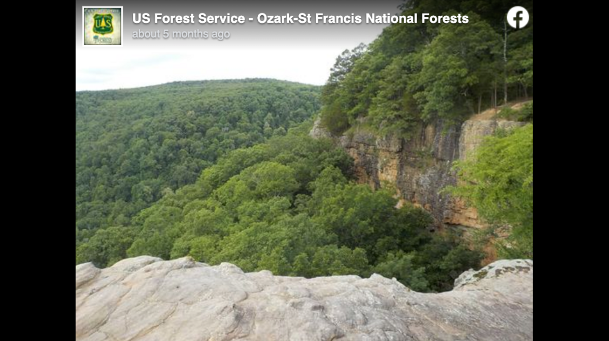 Theresa Beshara-Cox, a hiker who went missing in Ozark National Forest in Arkansas, was found after she walked out of the woods during a search, officials say. Screengrab from U.S. Forest Service - Ozark-St. Francois National Forests on Facebook.