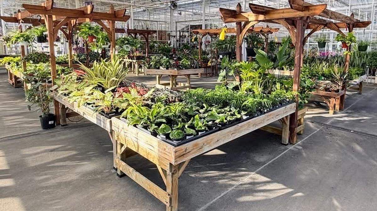 Heartland Nursery is closing after more than 50 years.