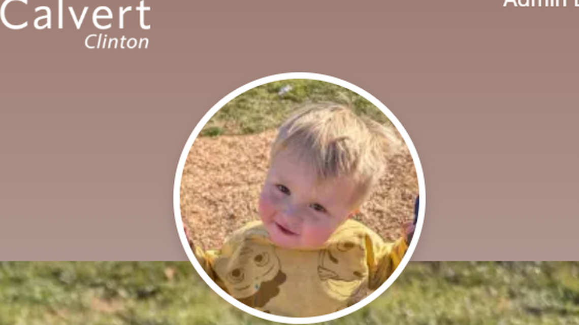 A 3-year-old boy drowned in a backyard pool in Illinois, deputies said.