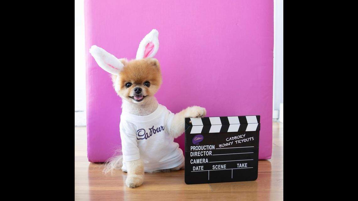 Cadbury is looking for the new star of its Cadbury Clucking Bunny Easter commercial.