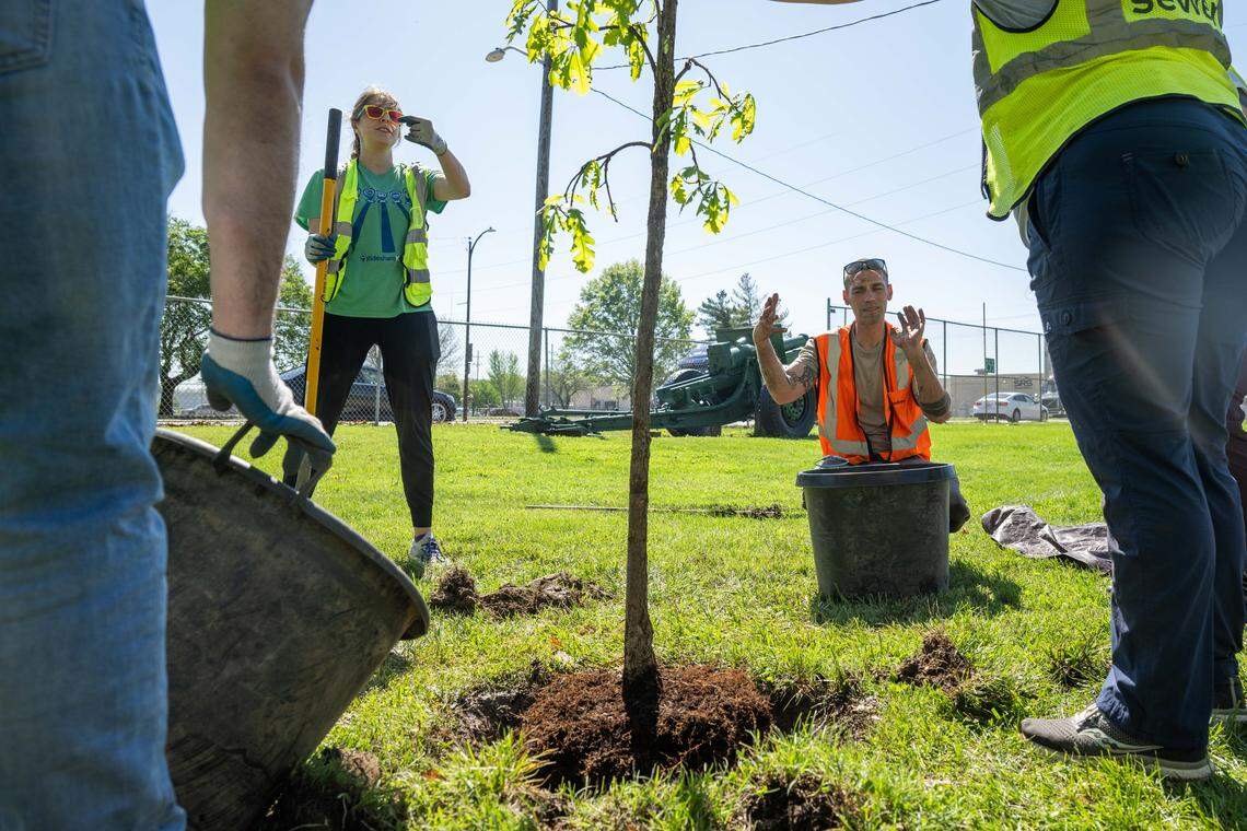 Workers with Armourdale Renewal Association and Bridging the Gap demonstrate to volunteers how to plant a tree during a tree planting event on Thursday, April 16, 2026, in Kansas City.