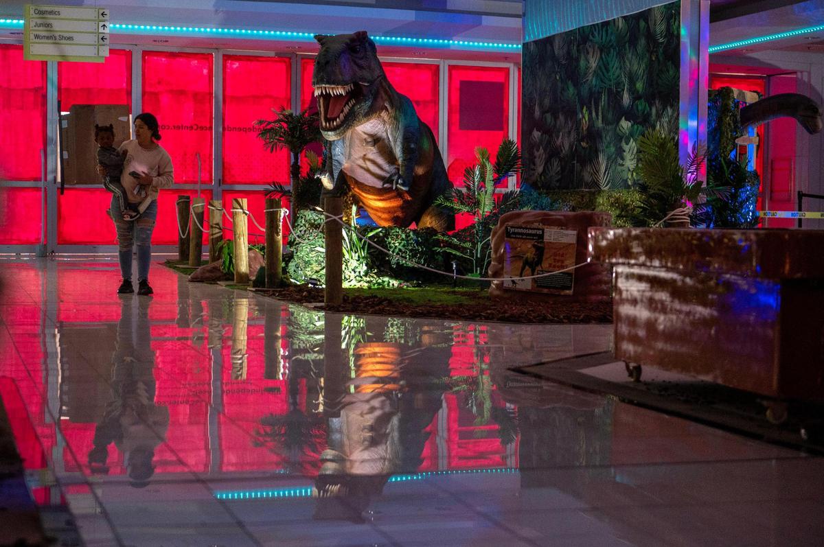A visitor walks through the display of dinosaurs at the new Jurassic Giant’s Exhibit & Dino Play before the opening.