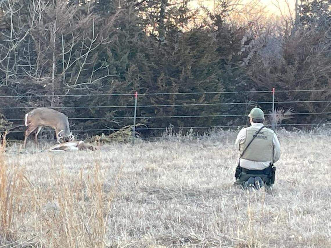Two deer were reported being seen with their antlers locked by a landowner in Rantoul, Kansas, officials said. One buck was found dead.